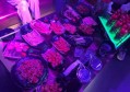 杭州西湖区西溪街道附近夜场招聘包厢服务员,领队直招没套路的